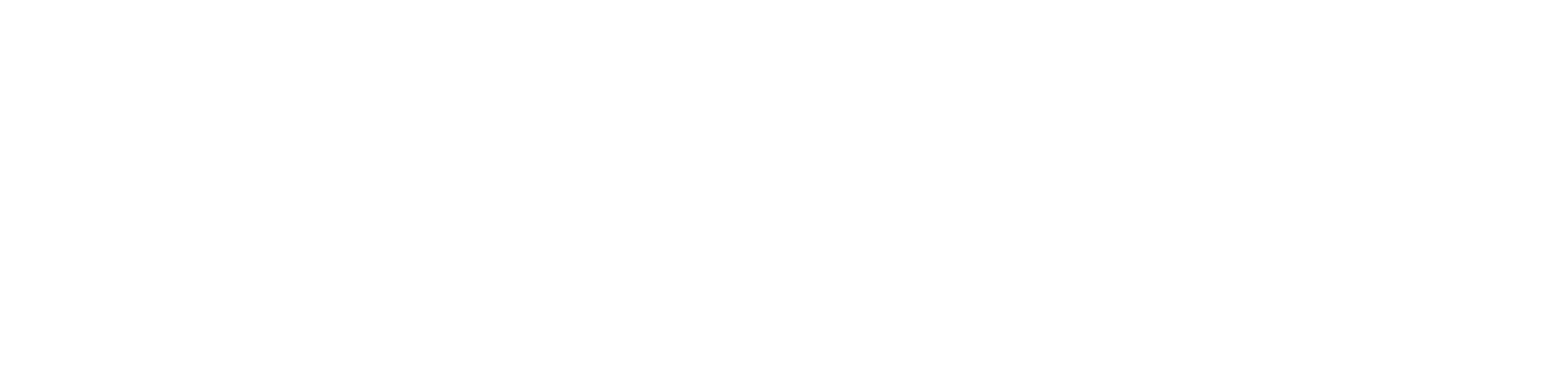 VerifEye Logo